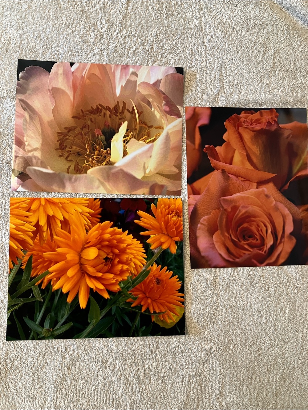 3 Floral Art Photograph Prints peach orange roses dahlias peony flowers 8x10